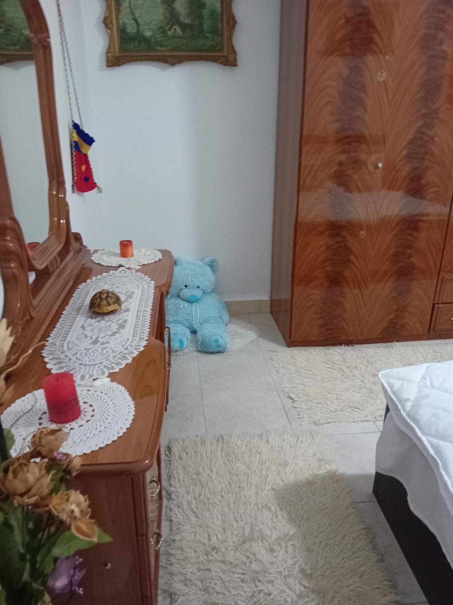 Olivia Guesthouse Gjirokastër Extérieur photo